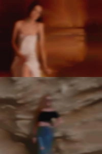 Yan2452 cocks
